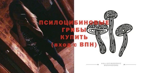 apvp Алзамай