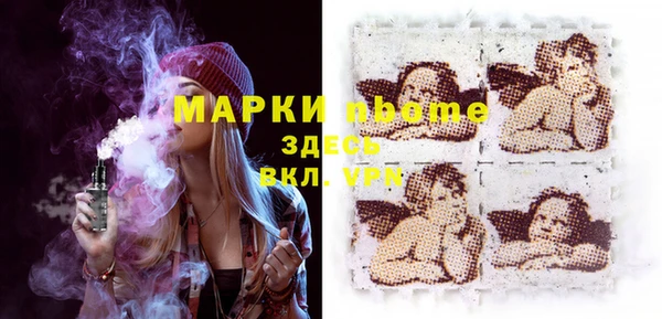 apvp Алзамай