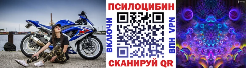 МЕГА зеркало  наркота  Гурьевск  Псилоцибиновые грибы Psilocybe 