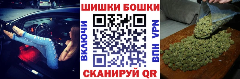 Бошки марихуана сатива  купить наркотик  Гурьевск 